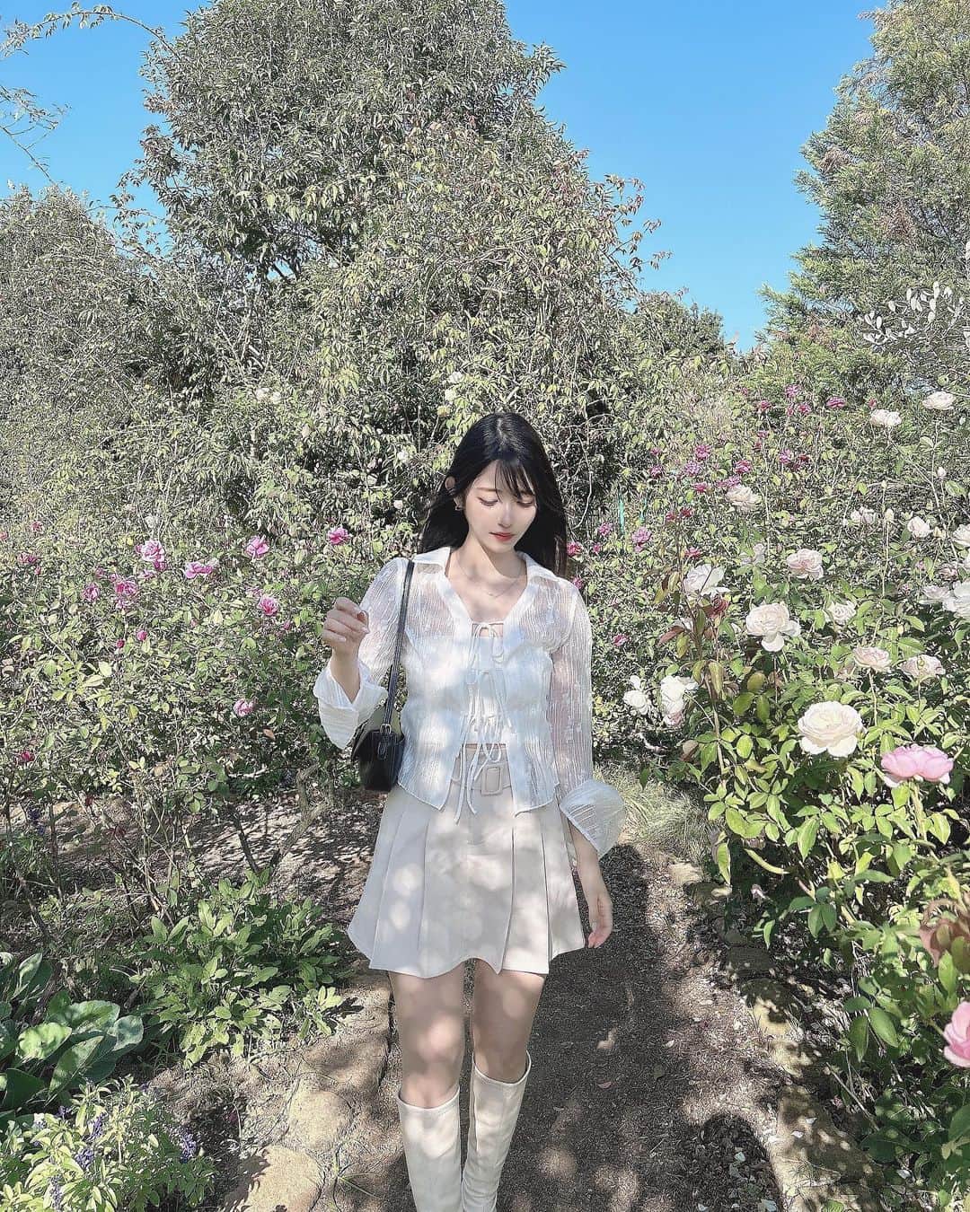 れみぱんのインスタグラム：「この日、ハチドリかと思った生き物がハチドリに似たホシホウジャクという蛾と知ってショックを受けた。 ハチドリかと思ってテンション上がったのに蛾だったなんて… また１つ勉強になりました。 ※日本にハチドリは生息していません。」