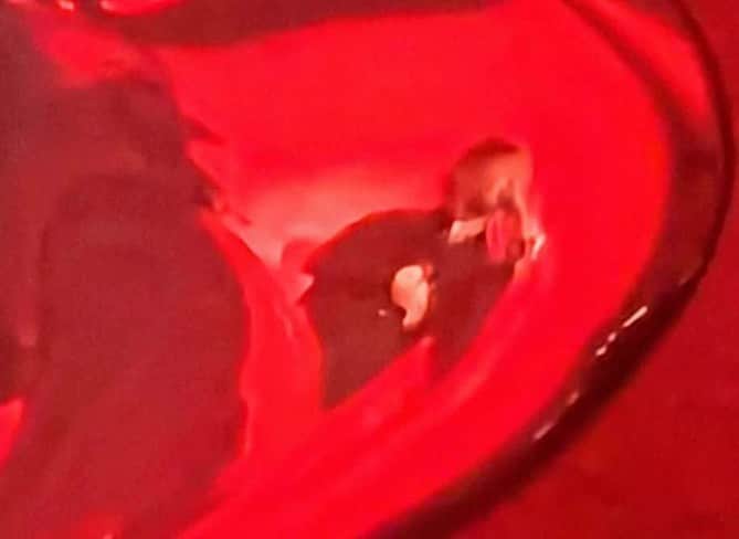 西山浩司のグルメインスタ