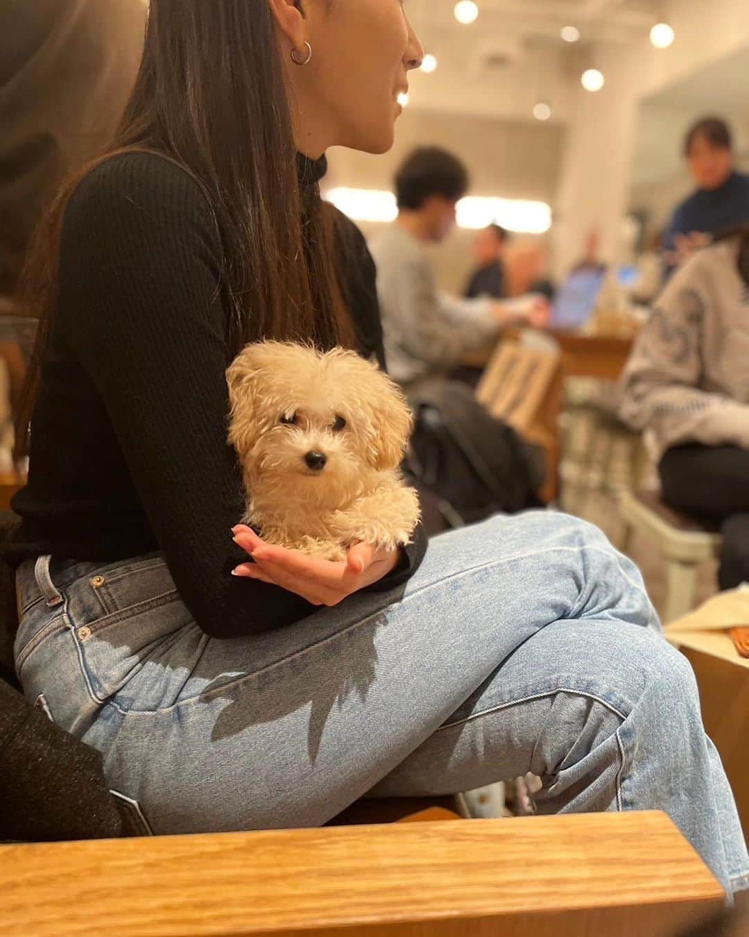 横川莉那さんのインスタグラム写真 - (横川莉那Instagram)「. デビュー戦☕️🐶 @streamer_akasaka  . . #streamercoffeecompany  #赤坂カフェ#わんこokカフェ #カフェ巡り#わんこok#ラテアート #東京カフェ#犬okカフェ」11月20日 18時14分 - rina_yokokawa