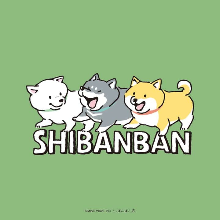 オオゴシヤステルのインスタグラム：「#今日のしばんばん  とりおばんばん  #しばんばん #shibanban  #しろしばんばん #くろしばんばん #あかしばんばん #微笑柴犬 #マインドウェイブ #mindwave #オオゴシヤステル #柴犬 #しばいぬ #sibainu #イラスト」