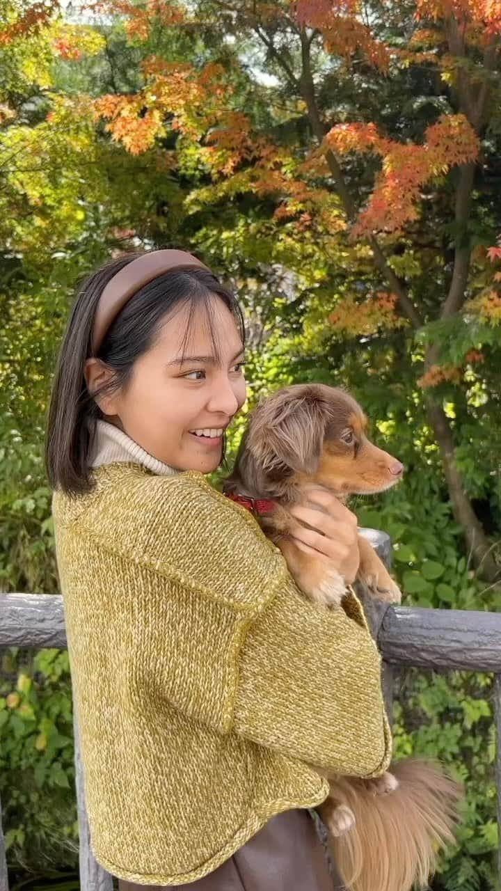 山口厚子のインスタグラム：「Holidayに愛犬と観光し、 日本の素敵な景色を見て楽しんでる様子、 『動くって、最高だ』というテーマを 愛犬との散歩で表現してみました。  注目ポイントはパナちゃんの笑顔🐶  『キャセイで、人生を動かす旅へ』のテーマで 今回パッと思いついたのが富士山でした。 絶景がぎゅっと詰まった地域で撮影！！  キャセイのFeels Good To Moveに共感し、 パナちゃんとの共生を自分らしく表現してみましたが どうでしたかー？？😆  @cathaypacific  #キャセイ #動くって最高だ #FeelsGoodToMove #MoveBeyond #MovewithCathay」