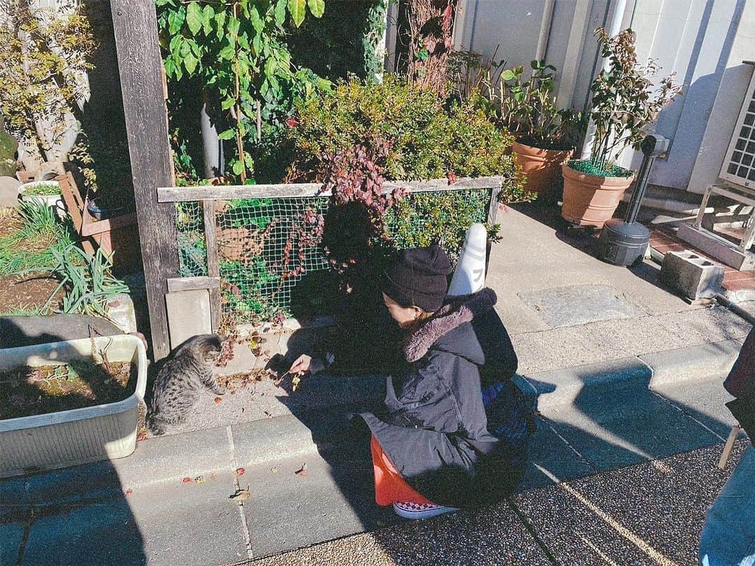 のインスタグラム：「🐈  今回お伺いした盛岡の地域には猫がいっぱいいて、皆お世話されてることがよくわかる。優しい人がいっぱいいるんだね。久々に猫と触れ合えて本当に幸せでした。元気でな」