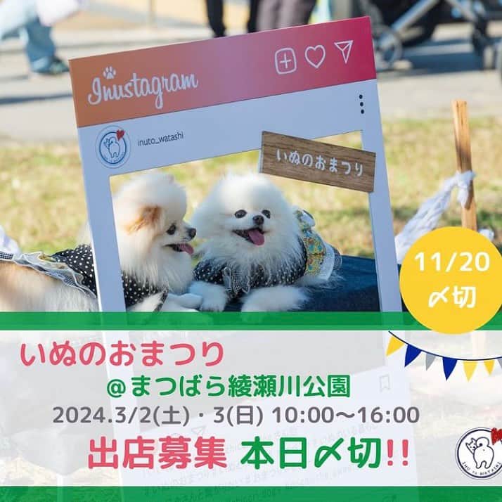 甲斐麻美さんのインスタグラム写真 - (甲斐麻美Instagram)「. @イオンモールむさし村山での いぬのおまつり風景🐕🐾  みんなかわいいなぁ〜❣️  いぬのおまつりを盛り上げて下さる出店者様も みんな、いいお顔🥰  いつもありがとうございます！  3月に開催するいぬのおまつりを わたし達と一緒に作って下さる 出店者様の募集は本日が〆切です！  迷ってる方は エイッと申し込んでみて下さい🙌 両手を広げて＼わんこウエルカム／な空間を 一緒に作りましょう🥳  詳しくはこちら↓↓↓  \\ いぬのおまつり 　2024年3/2(土),3(日)＠まつばら綾瀬川公園 　　　　　出店募集まもなく〆切 // 　　　（～11/20(月)〆切)  締め切りは、11/20(月)23:59です！  ワンちゃんもワンちゃん家族も、 みんなが楽しくハッピーで 心地いいイベントになるために、 わたし達と一緒に ”いぬのおまつり ”を 盛り上げてくれる『いぬLOVE💗』な 出店者様をお待ちしています🐾  初めての場所で、 大きな空間で開催なのでわたしたちもドキドキ🐶🤭💓  ぜひ一緒に盛り上げて下さい！  心地のいい春の公園で、 たくさんの笑顔を作りましょう🐕‍🦺💕🌝  出店者さんの募集は、まもなく〆切！  @inuto_watashi ↑をフォローの上、  いぬとわたしホームページへ。 → https://inutowatashi.wixsite.com/home  プロフィール欄からどうぞ🐶✨  出店要項（規約）をご確認のうえ、 ご応募ください。🥰 (※応募者が多数の場合は選考になります) (※期日内は申込みフォームの修正も可能です)  運営team一同、 素敵な出店者様との 出逢いを心から楽しみにしています💛  よろしくお願いします♩  ============  いぬのおまつり ============  ■日時：2024年3月2日(土)・3(日) 10:00～16:00 ※雨天中止 場所：まつばら綾瀬川公園(旧綾瀬川左岸広場) 東武スカイツリーライン獨協大学前駅東口 徒歩約8分  #いぬのおまつり　 #埼玉県 #草加市 #草加グルメ #草加最高 #松並木 #イベント運営 #いぬとわたし #犬との暮らし #犬ファースト #犬好きさんと繋がりたい #犬がいないと生きていけません #犬好き #犬のイベント #犬イベント #犬とお出かけ #いぬすたぐらむ #いぬのおまつり #いぬとわたし #犬イベント #犬の日 #出店者募集 #犬すきさんと繋がりたい #犬との暮らしを楽しむ #募集 #犬ばか」11月20日 19時01分 - inuto_watashi