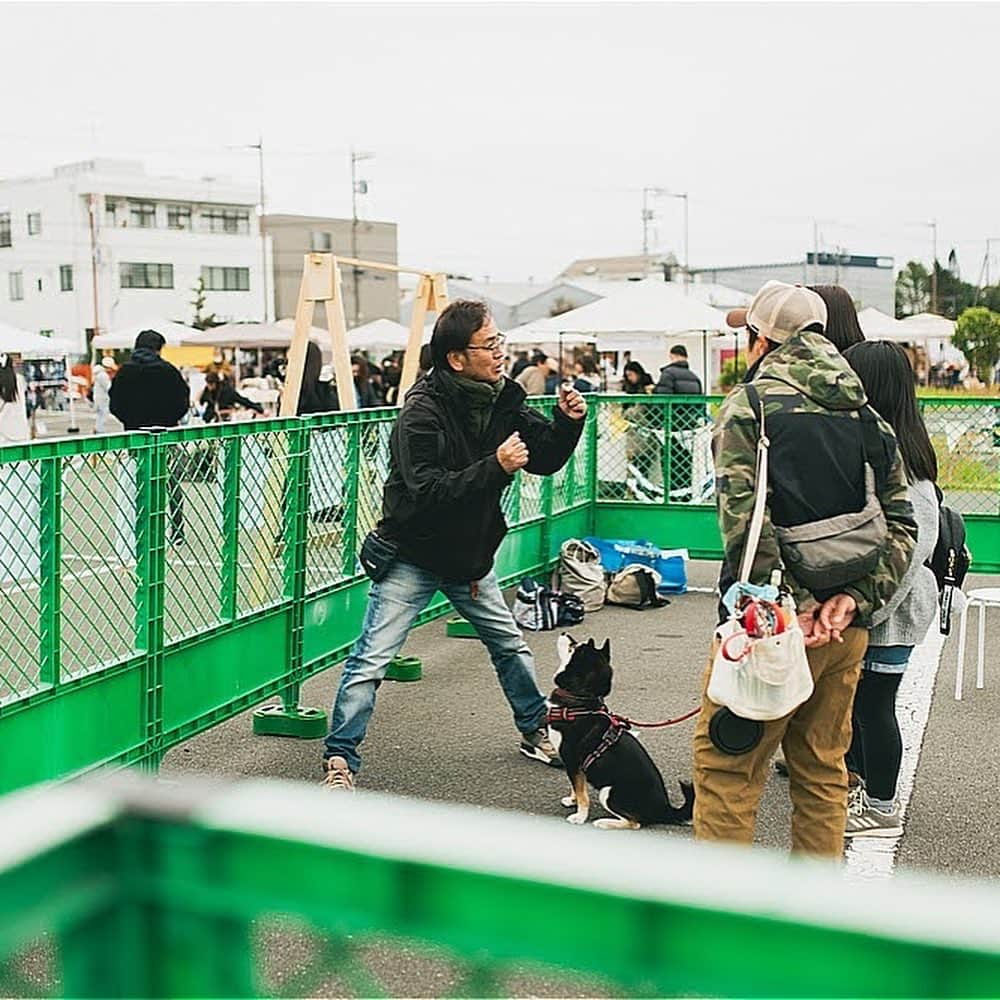 甲斐麻美さんのインスタグラム写真 - (甲斐麻美Instagram)「. @イオンモールむさし村山での いぬのおまつり風景🐕🐾  みんなかわいいなぁ〜❣️  いぬのおまつりを盛り上げて下さる出店者様も みんな、いいお顔🥰  いつもありがとうございます！  3月に開催するいぬのおまつりを わたし達と一緒に作って下さる 出店者様の募集は本日が〆切です！  迷ってる方は エイッと申し込んでみて下さい🙌 両手を広げて＼わんこウエルカム／な空間を 一緒に作りましょう🥳  詳しくはこちら↓↓↓  \\ いぬのおまつり 　2024年3/2(土),3(日)＠まつばら綾瀬川公園 　　　　　出店募集まもなく〆切 // 　　　（～11/20(月)〆切)  締め切りは、11/20(月)23:59です！  ワンちゃんもワンちゃん家族も、 みんなが楽しくハッピーで 心地いいイベントになるために、 わたし達と一緒に ”いぬのおまつり ”を 盛り上げてくれる『いぬLOVE💗』な 出店者様をお待ちしています🐾  初めての場所で、 大きな空間で開催なのでわたしたちもドキドキ🐶🤭💓  ぜひ一緒に盛り上げて下さい！  心地のいい春の公園で、 たくさんの笑顔を作りましょう🐕‍🦺💕🌝  出店者さんの募集は、まもなく〆切！  @inuto_watashi ↑をフォローの上、  いぬとわたしホームページへ。 → https://inutowatashi.wixsite.com/home  プロフィール欄からどうぞ🐶✨  出店要項（規約）をご確認のうえ、 ご応募ください。🥰 (※応募者が多数の場合は選考になります) (※期日内は申込みフォームの修正も可能です)  運営team一同、 素敵な出店者様との 出逢いを心から楽しみにしています💛  よろしくお願いします♩  ============  いぬのおまつり ============  ■日時：2024年3月2日(土)・3(日) 10:00～16:00 ※雨天中止 場所：まつばら綾瀬川公園(旧綾瀬川左岸広場) 東武スカイツリーライン獨協大学前駅東口 徒歩約8分  #いぬのおまつり　 #埼玉県 #草加市 #草加グルメ #草加最高 #松並木 #イベント運営 #いぬとわたし #犬との暮らし #犬ファースト #犬好きさんと繋がりたい #犬がいないと生きていけません #犬好き #犬のイベント #犬イベント #犬とお出かけ #いぬすたぐらむ #いぬのおまつり #いぬとわたし #犬イベント #犬の日 #出店者募集 #犬すきさんと繋がりたい #犬との暮らしを楽しむ #募集 #犬ばか」11月20日 19時01分 - inuto_watashi