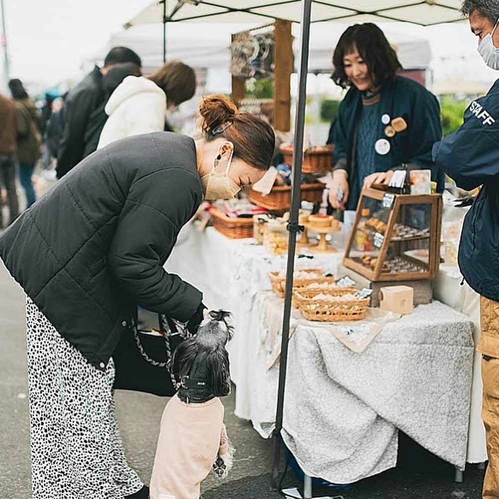 甲斐麻美さんのインスタグラム写真 - (甲斐麻美Instagram)「. @イオンモールむさし村山での いぬのおまつり風景🐕🐾  みんなかわいいなぁ〜❣️  いぬのおまつりを盛り上げて下さる出店者様も みんな、いいお顔🥰  いつもありがとうございます！  3月に開催するいぬのおまつりを わたし達と一緒に作って下さる 出店者様の募集は本日が〆切です！  迷ってる方は エイッと申し込んでみて下さい🙌 両手を広げて＼わんこウエルカム／な空間を 一緒に作りましょう🥳  詳しくはこちら↓↓↓  \\ いぬのおまつり 　2024年3/2(土),3(日)＠まつばら綾瀬川公園 　　　　　出店募集まもなく〆切 // 　　　（～11/20(月)〆切)  締め切りは、11/20(月)23:59です！  ワンちゃんもワンちゃん家族も、 みんなが楽しくハッピーで 心地いいイベントになるために、 わたし達と一緒に ”いぬのおまつり ”を 盛り上げてくれる『いぬLOVE💗』な 出店者様をお待ちしています🐾  初めての場所で、 大きな空間で開催なのでわたしたちもドキドキ🐶🤭💓  ぜひ一緒に盛り上げて下さい！  心地のいい春の公園で、 たくさんの笑顔を作りましょう🐕‍🦺💕🌝  出店者さんの募集は、まもなく〆切！  @inuto_watashi ↑をフォローの上、  いぬとわたしホームページへ。 → https://inutowatashi.wixsite.com/home  プロフィール欄からどうぞ🐶✨  出店要項（規約）をご確認のうえ、 ご応募ください。🥰 (※応募者が多数の場合は選考になります) (※期日内は申込みフォームの修正も可能です)  運営team一同、 素敵な出店者様との 出逢いを心から楽しみにしています💛  よろしくお願いします♩  ============  いぬのおまつり ============  ■日時：2024年3月2日(土)・3(日) 10:00～16:00 ※雨天中止 場所：まつばら綾瀬川公園(旧綾瀬川左岸広場) 東武スカイツリーライン獨協大学前駅東口 徒歩約8分  #いぬのおまつり　 #埼玉県 #草加市 #草加グルメ #草加最高 #松並木 #イベント運営 #いぬとわたし #犬との暮らし #犬ファースト #犬好きさんと繋がりたい #犬がいないと生きていけません #犬好き #犬のイベント #犬イベント #犬とお出かけ #いぬすたぐらむ #いぬのおまつり #いぬとわたし #犬イベント #犬の日 #出店者募集 #犬すきさんと繋がりたい #犬との暮らしを楽しむ #募集 #犬ばか」11月20日 19時01分 - inuto_watashi