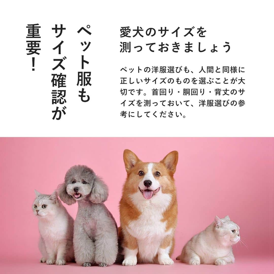 nuchayamachi_officialさんのインスタグラム写真 - (nuchayamachi_officialInstagram)「. おでかけやお散歩に、愛するペットと一緒におしゃれをしておでかけしたい♪ そう思う方も多いのではないでしょうか？  ペットの洋服選びで重要なのが、サイズをしっかり把握しておくこと！ ミスなく賢いお買物を楽しんでください。  ＋＋おすすめペットアイテム＋＋  🔳Nキャンディ♪PO　各￥9,790 🔳Nアンニュイ ホットTT　各￥7,150 🔳Nオルテガ 刺繍SK　￥10,450 🔳NUSEDパッチデニPT　￥9,790  カラフルなキャンディマシーンのアードインクジェットプリントが目を引くプルオーバー。 ワンちゃんもおしゃれにコーディネートして、冬のお出かけを楽しんでください♪  📍NU＋ 1F　／　as know as de wan  ※記載金額は税込金額です。 ※画像はイメージです。 ※商品は売切れの場合がございます。　  #大阪梅田#梅田#茶屋町#nu茶屋町#nuchayamachi#ヌー茶屋町#nu茶屋町プラス#茶屋町nu#大阪イベント#梅田イベント#茶屋町イベント#大阪ランチ#梅田ランチ#茶屋町ランチ#大阪カフェ#梅田カフェ#茶屋町カフェ#asknowasdewan#アズノゥアズデワン#ペット用品#ペットグッズ#犬服#犬洋服#犬の服ブランド#犬ブランド服」11月20日 19時02分 - nuchayamachi_official