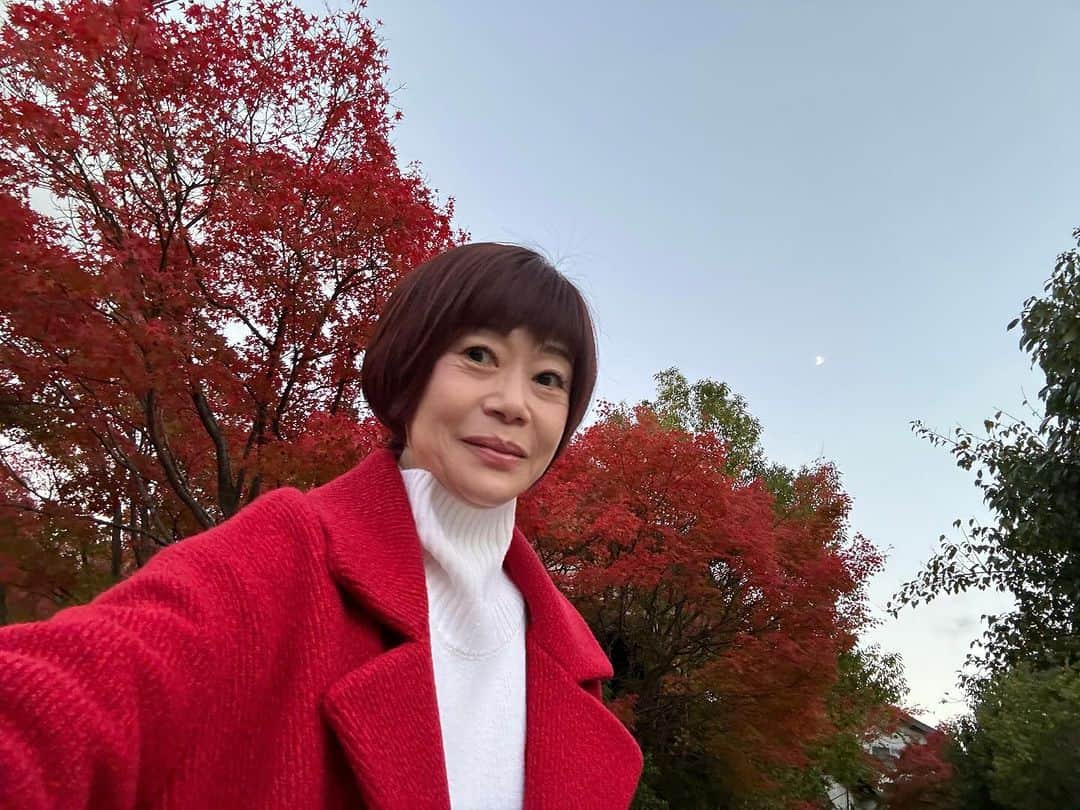 神野美伽のインスタグラム：「11月20日  みなさん こんばんは。  今朝早起きをして、 じつは、 京都に来ています。  嵐山の紅葉、 やっと始まった、という感じです。  今年の秋を満喫しています。  #京都　#嵐山　#紅葉」