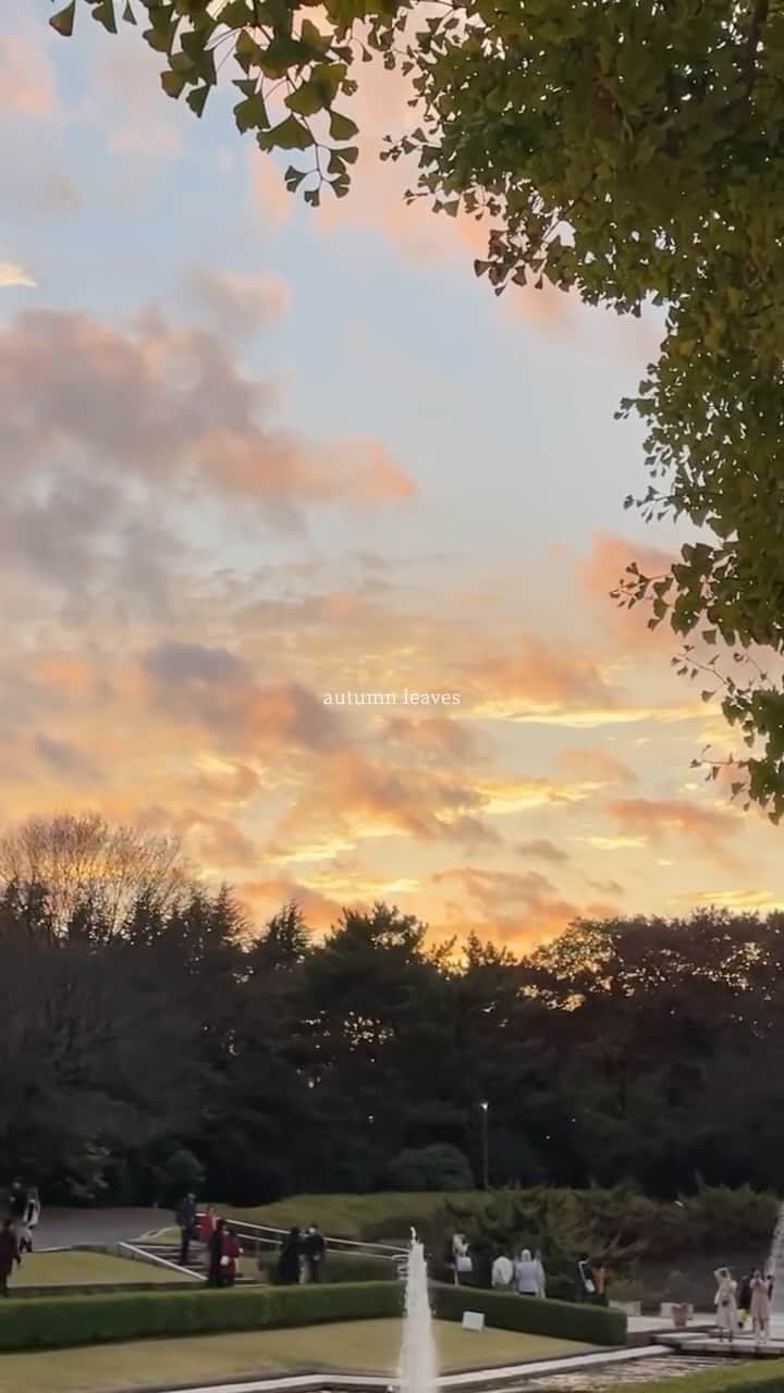 大野愛友佳のインスタグラム：「紅葉の中、お散歩してきた🐕🍁ꔛ  うーちゃんが来て1ヶ月 はじめてのドッグランへ。  相変わらずのひっつき虫だけど、 色んな匂いを知って、人やわんこに触れて すごく成長してる🥹🫶  ちなみに、outerは @amiur_official  もけもけがかわいいshort coat♡」