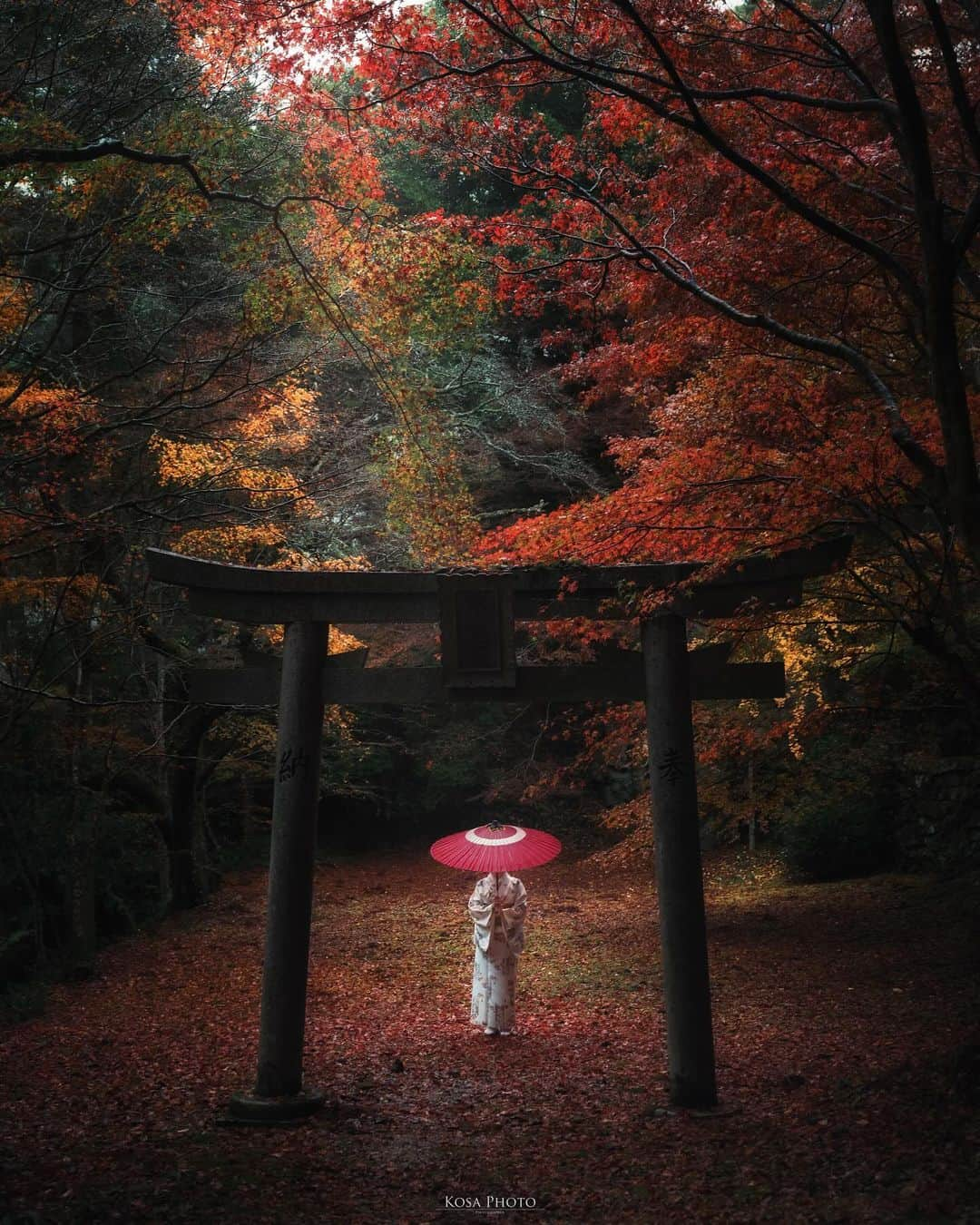 コサさんのインスタグラム写真 - (コサInstagram)「地面の紅葉の彩りが素敵でした🍁 雨も止み、薄っすらと光が出てきました✨ . Location:徳島 Tokushima /Japan🇯🇵 Date:2023年11月 in frame: @chami_2nd Camera:Z9 Z 24-70mm f2.8 . #tokyocameraclub #art_of_japan_ #jgrv_member #team_jp_ #photo_jpn #sorakataphoto #LBJ_KING #deaf_b_j_ #広がり同盟メンバー #japan_waphoto #アドビちいさい秋みつけた2023 #nikoncreators #nikoncreators_2023morningandnight #japancityblues #半田岩 #jp_portrait_collection #ポトレファン倶楽部 #ポトレ撮影隊 #みんすと紅葉祭  #jp_portrait部 #clv_galerie #shikokucameraclub #planet_earth_shots #voyaged #mf_landscape #invisible_cool_part #m_v_shotz #raw_japan #Rox_Captures #shikokucameraclubフォトコン2023」11月20日 19時27分 - kosa_photo