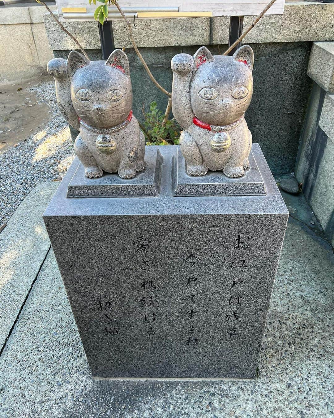 たけるさんのインスタグラム写真 - (たけるInstagram)「【最近の参拝歴】  今戸神社　東京　浅草 浅草七福神巡拝の一つである神社さん 浅草には七福神をお祀りしてる神社さん、お寺さんがある それを回って色紙印を集めて回るらしい ドラゴンボールだ 浅草ドラゴンボールツアーだ ギャルのパンティ巡拝だ 今戸神社は福禄寿をお祀りする 福禄寿はとにかくロングヘッド 多分岡崎よりヘディングうまい 七福神巡拝やってみたいね 招き猫多数 石の招き猫は撫でるとご利益あり 待ち受けにするとご利益あり 撫でられすぎて頭だけハゲちゃってる ハゲ隠そうとして手を上げてるのかな 招き猫多数 授業だとしたらみんな手を上げて積極性◎の通知表決定だね ふぅ〜ん 鳥居カッケェ 鳥居はやっぱりカッケェ  #東京ホテイソン #たける #グレープカンパニー #備中神楽 #神社 #今戸神社 #東京 #浅草 #七福神巡拝 #パワースポット」11月20日 19時48分 - takayanken