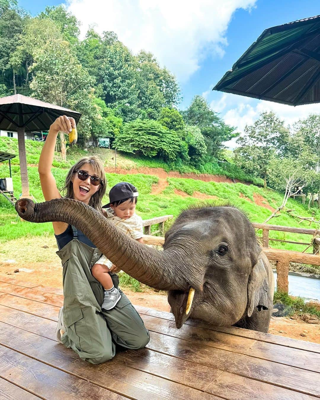 maakoのインスタグラム：「チェンマイ旅のメインイベント🌱🇹🇭  自然豊かな山の上にあるゾウさんカフェ☕️🐘 カフェのお庭でゾウさんが自由にウロウロ🌿  100バーツでカゴいっぱい🧺バナナ🍌を あげれてこれがもう大迫力で大興奮🥹#かーちゃんが  ルンルン耳をパタパタしながら🎵 子像がきてくれてほんとかわいい🐘🩷  ロウも怖がりながらも頑張って ご飯🍌あげて周りのみんなに拍手して👏🏽笑  この体験は日本じゃなかなかできないし 覚えててほしーなあ💭🥰 バナナ以外にもゾウに乗ることもできるみたい🐘💚  子連れチェンマイ👶🏻 📍elefin farm & cafeオススメです🫡🌱  #子連れ海外　#子連れ海外旅行　#チェンマイ　 #1歳2ヶ月 #thailand #chiangmai #タイ #タイ旅行」