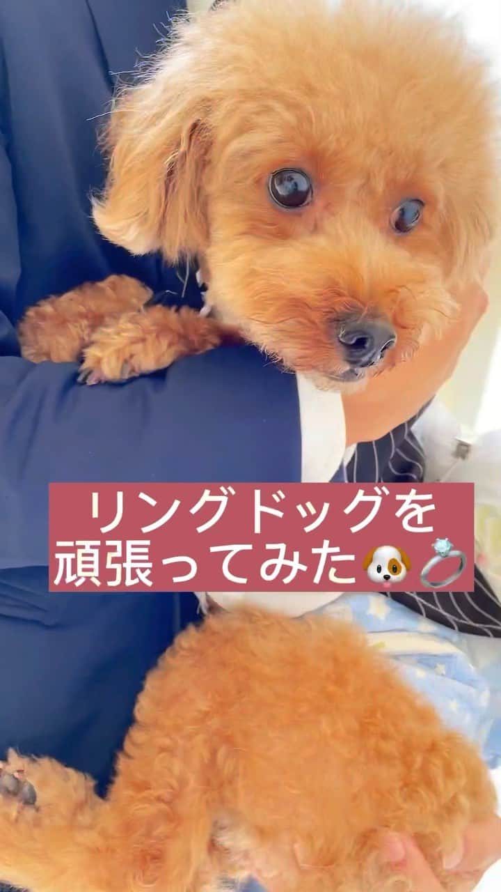 グレイスヒルオーシャンテラスのインスタグラム