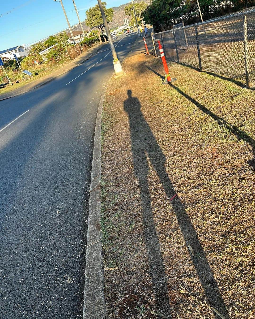 安井謙太郎さんのインスタグラム写真 - (安井謙太郎Instagram)「こんくらい背が高かったらなぁ。。」11月20日 20時45分 - kentaro_dayooon