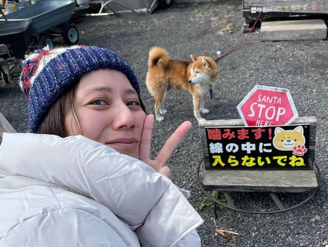 央雅光希さんのインスタグラム写真 - (央雅光希Instagram)「お友達と初キャンプ！なんと富士山の見えるキャンプ場で。 楽しすぎてずっとウキウキしてた！初心者2人だけだったら恐らく火も起こせなかったし夜は寒すぎて寝れなかっただろうな。キャンパーみーさんに感謝🔥 電車降りた時は強風に大雨に、台風ですか？ってくらいの荒天で終わった…って思ったけど、夕方からはギリギリ晴れて焚き火もできて本当に最高に楽しかった。定期的に自然に触れる時間、大切にしたい。 #キャンプ」11月20日 20時57分 - tatatata_ayk