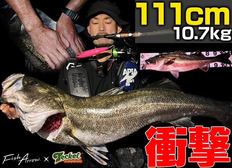 LureNews.TVさんのインスタグラム写真 - (LureNews.TVInstagram)「【衝撃】大阪湾奥の陸っぱりで111cm（10.7kg）のシーバスが捕獲されました  https://www.lurenewsr.com/289264/  #フィッシュアロー #キックノッカー168 #腹黒オスギ #大阪湾奥 #大阪湾 #シーバス #ビッグベイトシーバスキャンペーン」11月20日 21時00分 - lurenews