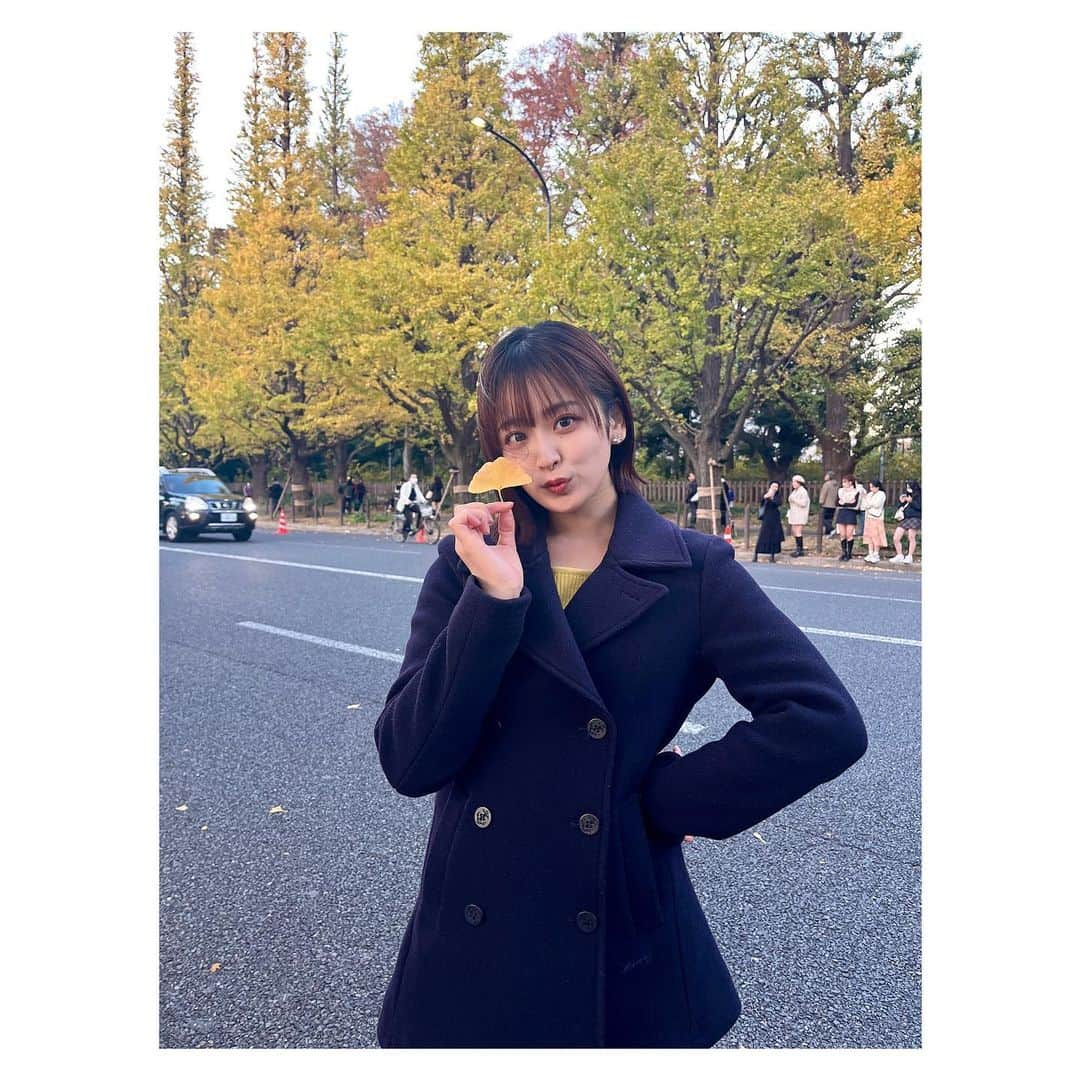 佐竹桃華さんのインスタグラム写真 - (佐竹桃華Instagram)「・ いちょう並木🍁 風強いし寒すぎて冬みたいだけど 秋を感じてきたんだ〜！！ 1番好きな季節かも🫶 ・ ・ ・ #いちょう並木#紅葉 #明治神宮前#明治神宮外苑  #めちゃ綺麗でした〜 #さつまいも#食べたよ #やきいもフェス#最高 #秋が1番好き」11月20日 21時07分 - momokasatake