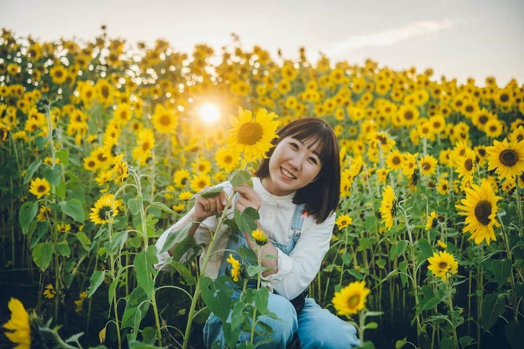 尾上彩さんのインスタグラム写真 - (尾上彩Instagram)「11月にひまわりとコスモスが同時に見れてびっくり🌻🌿 夏と秋を一緒に感じられた不思議な空間😌 ・ ・ ・ ①&②→Photo by @yuki_hiroshige  #秋 #夏 #コスモス #ひまわり」11月20日 21時15分 - aya_onoe