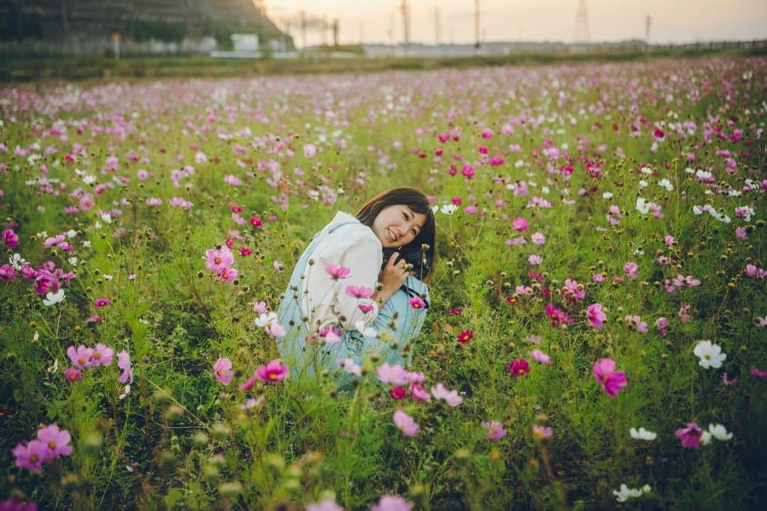 尾上彩のインスタグラム：「11月にひまわりとコスモスが同時に見れてびっくり🌻🌿 夏と秋を一緒に感じられた不思議な空間😌 ・ ・ ・ ①&②→Photo by @yuki_hiroshige  #秋 #夏 #コスモス #ひまわり」