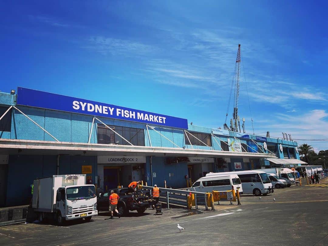 のインスタグラム：「.  SYDNEY FISH MARKET  南半球最大の魚市場で、水揚げ量は豊洲に次いで世界2位だとか。 活気があり賑わっていました🐟」