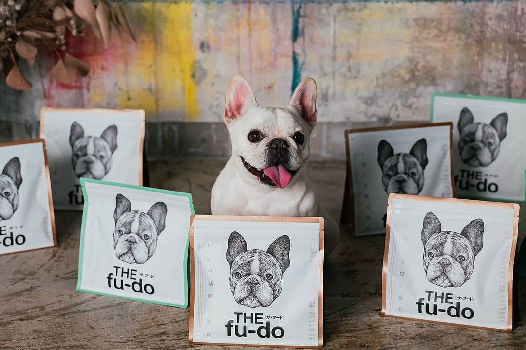 French Bulldog Lifeのインスタグラム：「【THE fu-do(ザ・フード)の特徴】 フレブル専用の総合栄養食「THE fu-do(ザ・フード)」。  販売初日から、たくさんのご注文ありがとうございます！  お手元に届きましたら、ぜひ愛ブヒの細かなボディチェックをしてみてください。  すでに試した編集メンバーの経験上、日が経つごとにボディチェックが楽しく、嬉しくなるはずです🐕  今日は「THE fu-do(ザ・フード)の特徴」をお届け。 ------------------- ★フレブルに不足しがちな栄養を「効率よく」補う  フレンチブルドッグは生まれつき、「オメガ3脂肪酸」や「ビタミンC」など、  健康維持に欠かせない栄養素が不足傾向にある（または体内生成の力が欠落している）ことがわかりました。  病気になりやすいとされるフレンチブルドッグですが、その原因は「栄養が体内に届いていない」可能性があることもわかってきています。  とはいえ、ただ不足しがちな栄養を摂取しても、フレブルの場合は意味がないことも…。  「THE fu-do(ザ・フード)」はサイエンスの裏付けをもとに、彼らに不足しがちな栄養を「フレブルの体内にしっかり届く」工夫をしています。  長くつづけていただくことで、明るい未来があることを証明してくれるはずです。 -------------------  ★年内のご注文は「12/17(日)まで」  早く「THE fu-do(ザ・フード)」を食べさせてあげたい！ という方は、お早めのご注文がオススメです  詳しくは「フレブルライフ」をチェック🔍 プロフィールからどうぞ @french.bulldog.life   #ザフード」