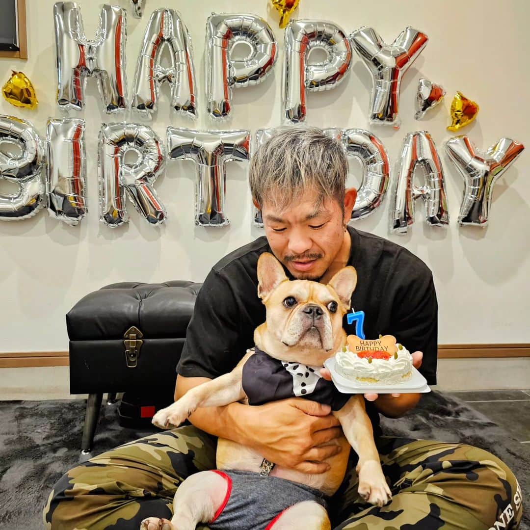 剛王のインスタグラム：「昨日11月19日は こてつの誕生日。 もう7歳になりました。 いつまでも元気でいてほしい。 #フレンチブルドッグ #フレブル   皆さんこれからもこてつ共々仲良くしてくださいね。 よろしくお願いします。  #お誕生日 #お誕生日おめでとう #バースデー  #フレンチブルドッグのいる生活 #犬スタグラム #愛犬 #犬のいる暮らし #犬好きな人と繋がりたい #ドッグウェア #ドッグカフェ #ドッグ #ドッグサロン #ドッグラン #dog #doglover #frenchbulldogsofinstagram #frenchbulldog #frenchbulldogs」