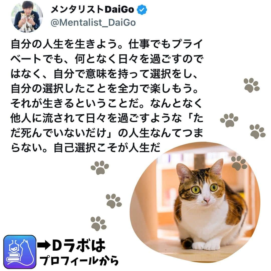 メンタリストDaiGoのインスタグラム：「🐈本日の名言📚 プロフィールからDラボもみてね  #心理学 #メンタリスト #dラボ  #dラボはプロフィールから」