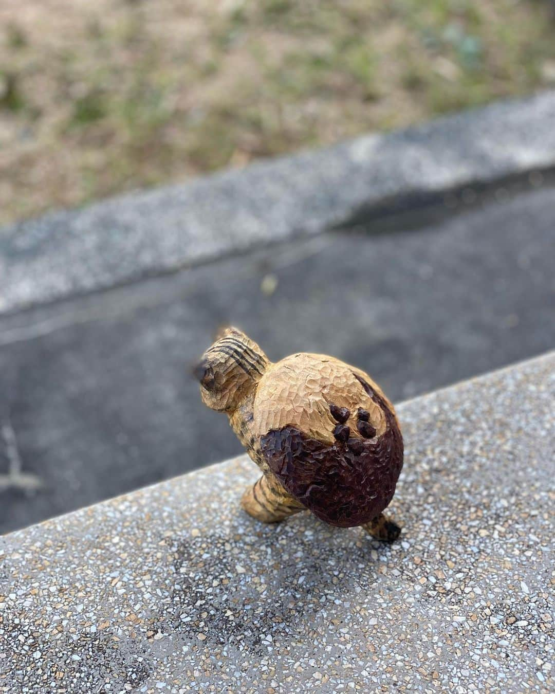 花房さくらさんのインスタグラム写真 - (花房さくらInstagram)「抜き足、差し足、忍び足･･･  「ふっふっふ、このクッキーを家まで運んで、ゆっくりお茶の時間にするんだ」  The cat is about to leave with a big cookie.  #クッキー #cookie #🍪  #woodcarving #cat #sculpture #hanafusasakura」11月20日 22時13分 - sakura_hanafusa