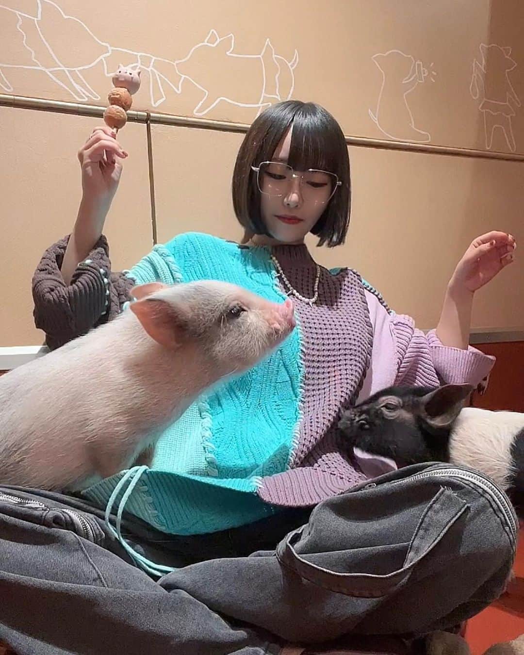 白釈迦遺さんのインスタグラム写真 - (白釈迦遺Instagram)「. 豚と戯れた🐖 めっちゃ元気で勢い凄かった。 胡座かいてるとすぐ乗っかってきて可愛い…」11月20日 22時17分 - shaka_yui