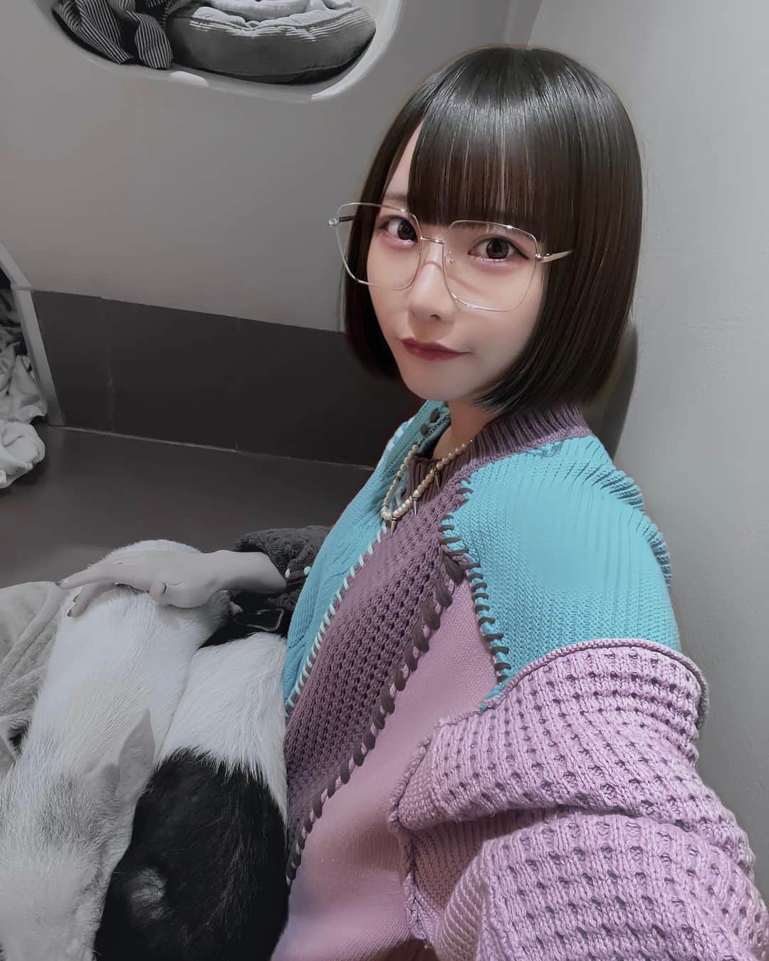 白釈迦遺のインスタグラム