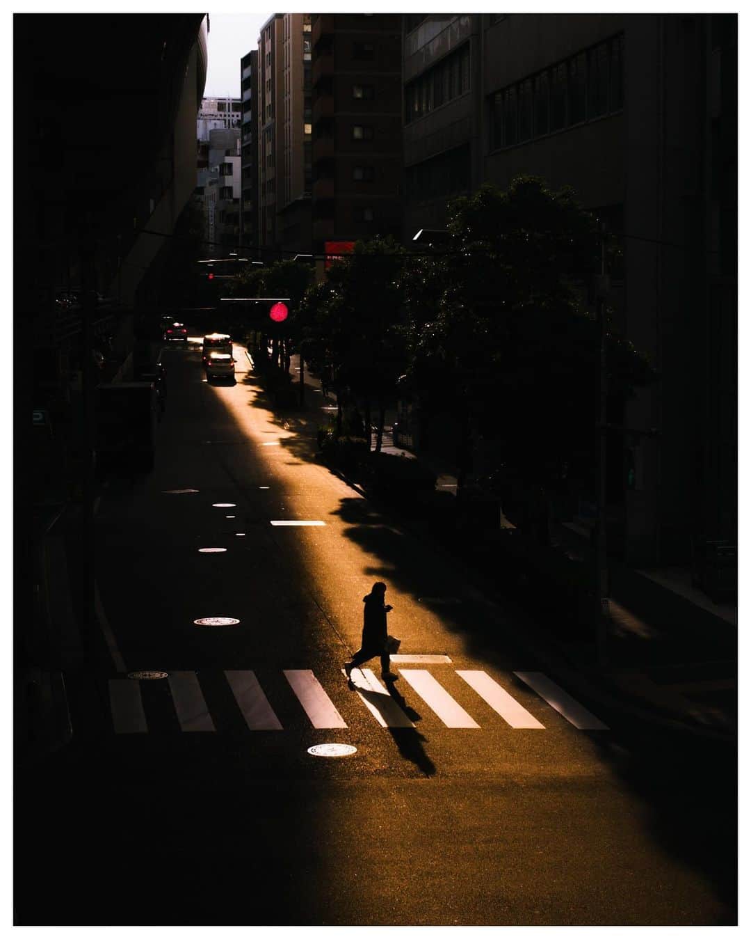 Takashi Yasuiのインスタグラム：「Tokyo 🚶🏻 February 2021  📕My photo book - worldwide shipping daily - 🖥 Lightroom presets ▶▶Link in bio  #USETSU #USETSUpresets #TakashiYasui #SPiCollective #filmic_streets #ASPfeatures #photocinematica #STREETGRAMMERS #street_storytelling #bcncollective #ifyouleave #sublimestreet #streetfinder #timeless_streets #MadeWithLightroom #worldviewmag #hellofrom #reco_ig」