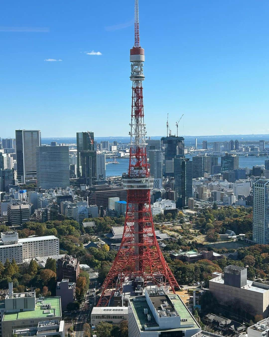 進藤やす子のインスタグラム：「＊ 「麻布台ヒルズ」広大すぎて、半日いてやっと1/10くらい周った感じかな？💦  それにしてもメディア関係者の内覧会が月曜日って珍しく、本当にありがたかった！ 毎週火水木は山形なので軒並み内覧会や展示会に行けず "外交"の機会がかなり減っていて😅 （↑それも承知で入職したので、大学が夏休みや春休みの間にここぞとばかり行きます笑）  このところ色々仕事が重なりまくりで、ずっと寝不足だし、かなり忙しいのだけど...やっぱり行ってよかった！  何事も百聞は一見に如かず。体験することの大切さを感じた1日でした🙆‍♀️  #麻布台ヒルズ @azabudaihillsofficial」