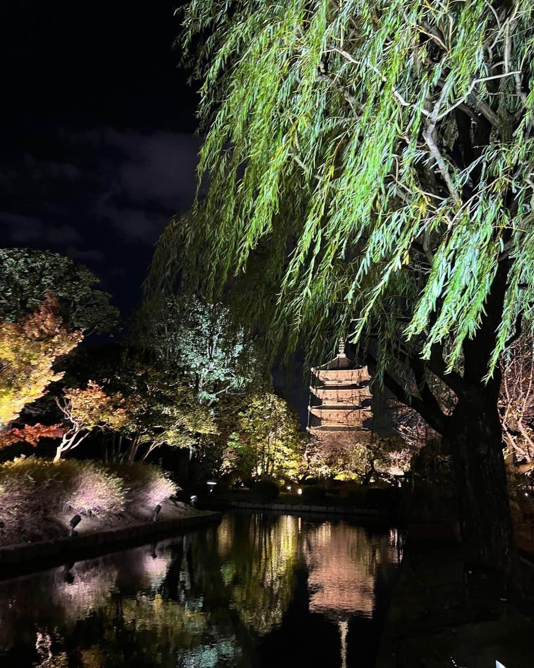 カロリーナ・コストナーさんのインスタグラム写真 - (カロリーナ・コストナーInstagram)「東寺 Toji Temple 🍁🏮🎌」11月20日 23時07分 - mskostner