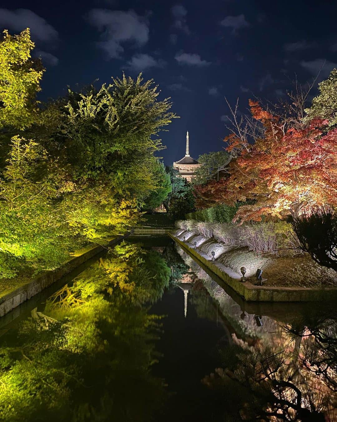 カロリーナ・コストナーさんのインスタグラム写真 - (カロリーナ・コストナーInstagram)「東寺 Toji Temple 🍁🏮🎌」11月20日 23時07分 - mskostner