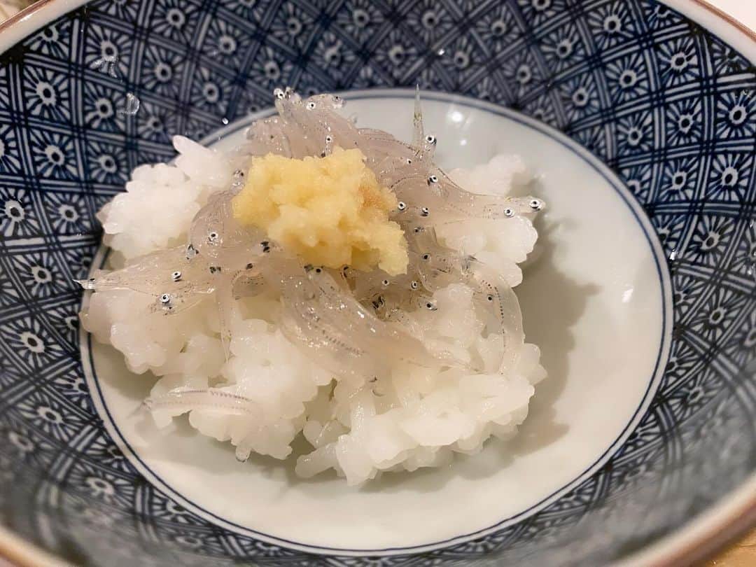 西川忠志のインスタグラム：「生しらす  神奈川県の湘南へ引っ越しした知り合いが 朝、湘南を出て、今夜、大阪に車で来たのでと・・・  今朝、漁れたての『生しらす』を自宅まで 届けてくださいました。  ありがたいです。優しいなぁ。  炊き立てご飯に生しらす、そして生姜をおろし  さっと醤油をかけて・・・  早速、夕食の一品にさせていただきました🙏  あー美味しかった😋  感謝 西川忠志」