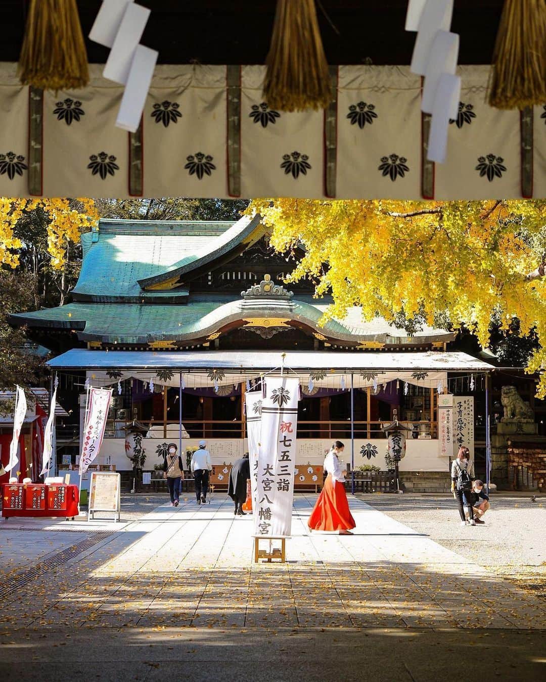 Promoting Tokyo Culture都庁文化振興部のインスタグラム：「Omiya Hachimangu Shrine is a well-known shrine that brings good luck for marriage, childbirth, and child-rearing.  Many people visit the shrine every year for Shichi-Go-San, a traditional Japanese celebration for 3 and 7-year-old girls, and 5 and sometimes 3-year-old boys. Typically held in mid-November, this festival is a joyful occasion, marked by the sight of golden gingko trees gracing the shrine's surroundings.  子供の健やかな成長を3歳・5・7歳を節目に祝い祈願する11月の伝統行事「七五三」。 杉並区の「大宮八幡宮」は縁結び・安産・子育てにご利益のある神社として親しまれており、毎年多くの方々が七五三のお参りに足を運びます。 黄色く色づいた銀杏の木が境内を彩る光景もまた、この時期ならではです。  #tokyoartsandculture 📸: @ariel.land  #suginamiku #Ginkgo #杉並区 #大宮八幡宮 #銀杏 #紅葉 #japantraditional #japanculture  #artandculture #artculture #culturalexperience #artexperience #culturetrip #theculturetrip #japantrip #tokyotrip #tokyophotography #tokyojapan  #tokyotokyo #explorejpn #unknownjapan #discoverjapan #japan_of_insta  #nipponpic  #japanfocus #japanesestyle #artphoto #artstagram」