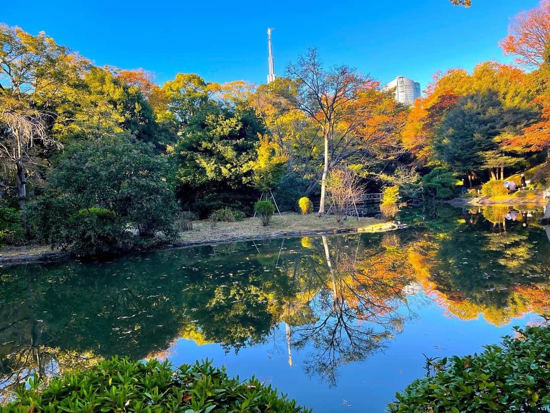 アグネス・チャンのインスタグラム：「I went to the park yesterday. The fall leaves are so beautiful! Makes me want to give thanks to everything in earth!」