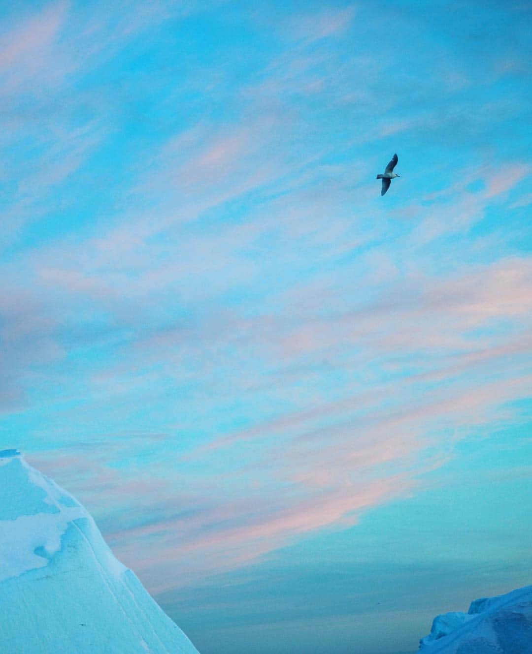 ジミー・チンのインスタグラム：「That arctic blue...」