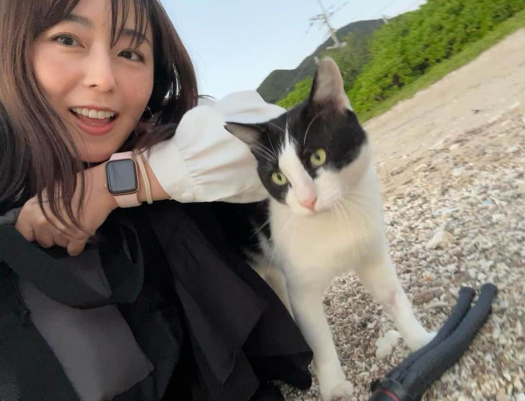 伊藤えみさんのインスタグラム写真 - (伊藤えみInstagram)「シリーズ猫と私。なでなでめでめで🐈‍⬛❣️  #写真フォルダの中身公開中 #伊藤えみ #emiito  #猫 #猫好き集まれ  #catlovers #猫も犬も好き  #生き物大好き #follow #followme」11月20日 23時38分 - itoemi1019