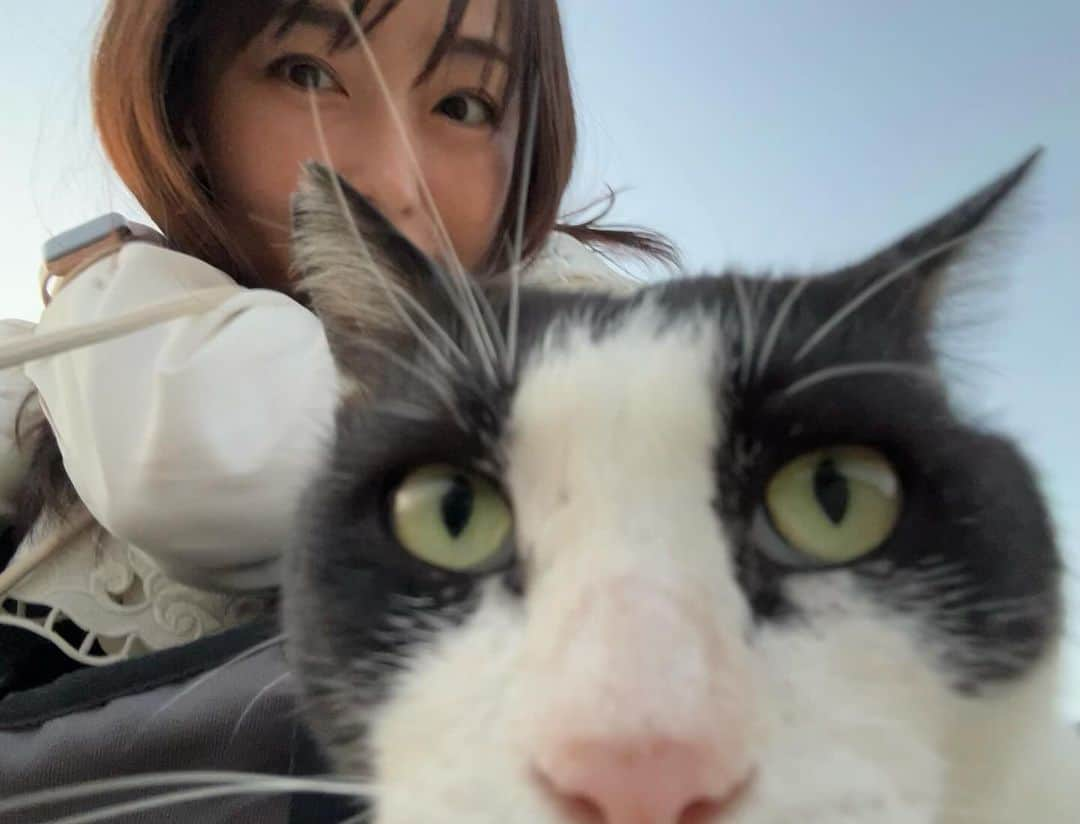 伊藤えみさんのインスタグラム写真 - (伊藤えみInstagram)「シリーズ猫と私。なでなでめでめで🐈‍⬛❣️  #写真フォルダの中身公開中 #伊藤えみ #emiito  #猫 #猫好き集まれ  #catlovers #猫も犬も好き  #生き物大好き #follow #followme」11月20日 23時38分 - itoemi1019