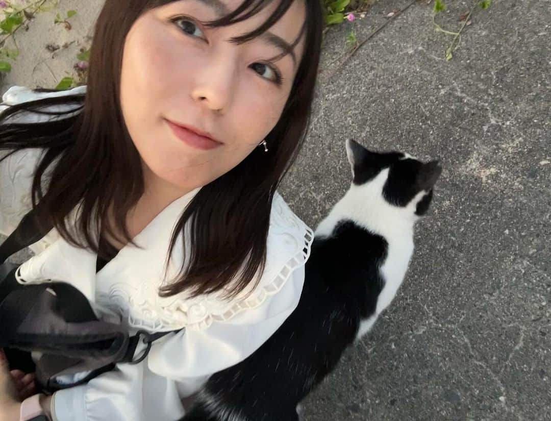 伊藤えみさんのインスタグラム写真 - (伊藤えみInstagram)「シリーズ猫と私。なでなでめでめで🐈‍⬛❣️  #写真フォルダの中身公開中 #伊藤えみ #emiito  #猫 #猫好き集まれ  #catlovers #猫も犬も好き  #生き物大好き #follow #followme」11月20日 23時38分 - itoemi1019