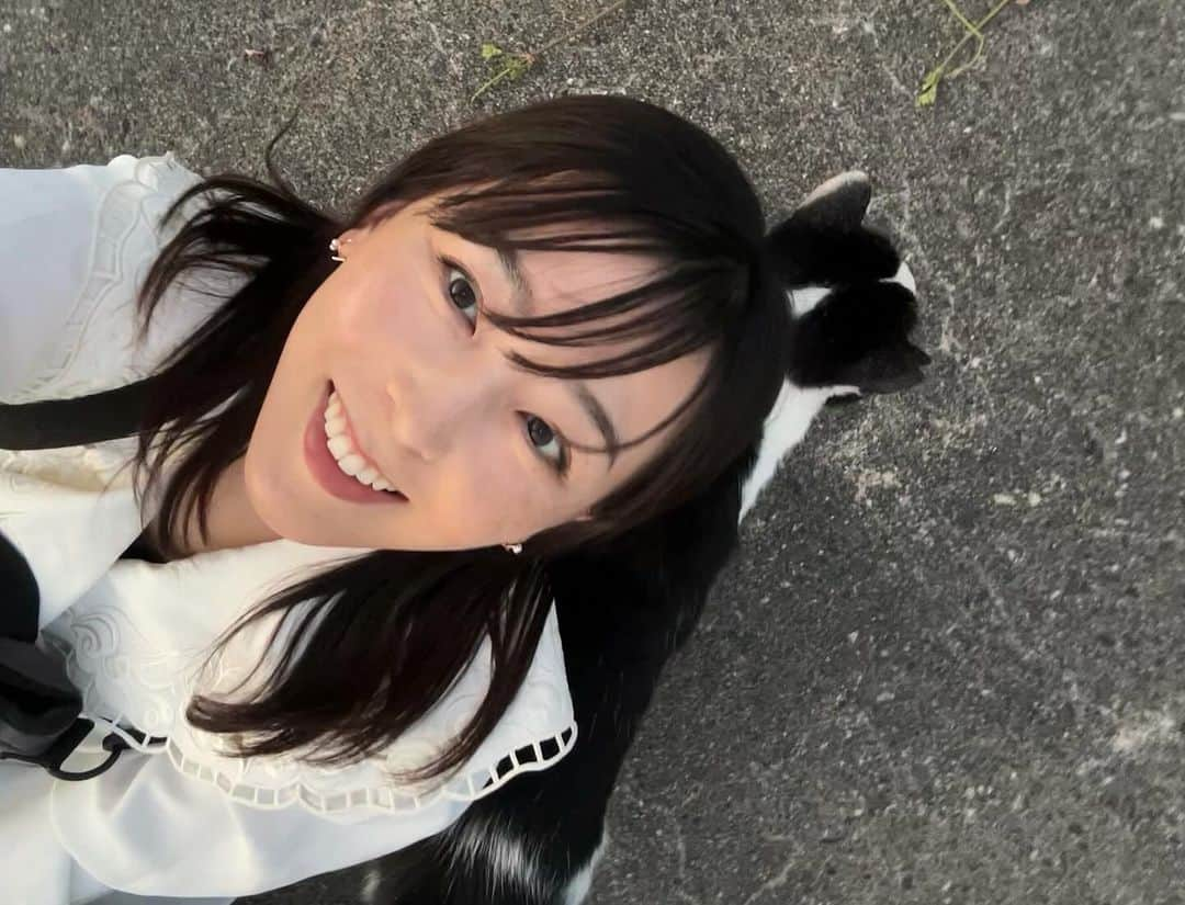 伊藤えみさんのインスタグラム写真 - (伊藤えみInstagram)「シリーズ猫と私。なでなでめでめで🐈‍⬛❣️  #写真フォルダの中身公開中 #伊藤えみ #emiito  #猫 #猫好き集まれ  #catlovers #猫も犬も好き  #生き物大好き #follow #followme」11月20日 23時38分 - itoemi1019