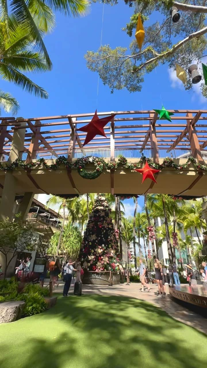 Belle Vie Hawaiiのインスタグラム：「ロイヤルハワイアンセンターに 恒例のクリスマスツリーが登場🎄  ホリデームードで盛り上がるワイキキです⭐️  【ベルヴィー店頭情報】 営業時間: 午前10時〜午後9時　無休 店頭だけのお買い得商品多数有り😃 詳しくは店頭でお尋ねください  Open Daily 10:00am〜9:00pm Instagram in English  @belleviehawaii.en   #royalhawaiiancenter  #holidayseason  #今のハワイ  #ホリデーシーズン  #ロイヤルハワイアンセンター  #毎年恒例の  #クリスマスツリー  #クリスマスデコレーション  #ワイキキ散歩」