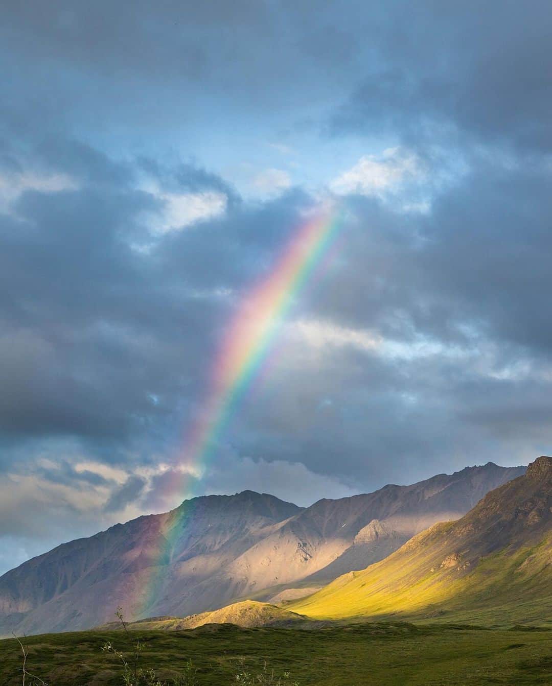 patagoniaさんのインスタグラム写真 - (patagoniaInstagram)「One more critical area in Alaska needs your support today.  In the Brooks Range, a growing coalition of conservation and Indigenous groups are pushing back against a state proposal to develop a 211-mile private industry road.  If developed, the Ambler Road project would cut through the largest connected park system in the country, cross 11 major rivers and threaten key hunting grounds and water sources that local Indigenous communities depend on.   The Ambler Road was fast-tracked by former President Trump in 2020, but the Biden administration found major issues with the proposal. Now the administration wants to hear from you.   Submit a comment by December 22, through link in bio, to tell President Biden the Ambler Road has no place in the Brooks Range.  Photos: Austin Siadak, Florian Schulz, David W. Shaw」11月21日 9時54分 - patagonia