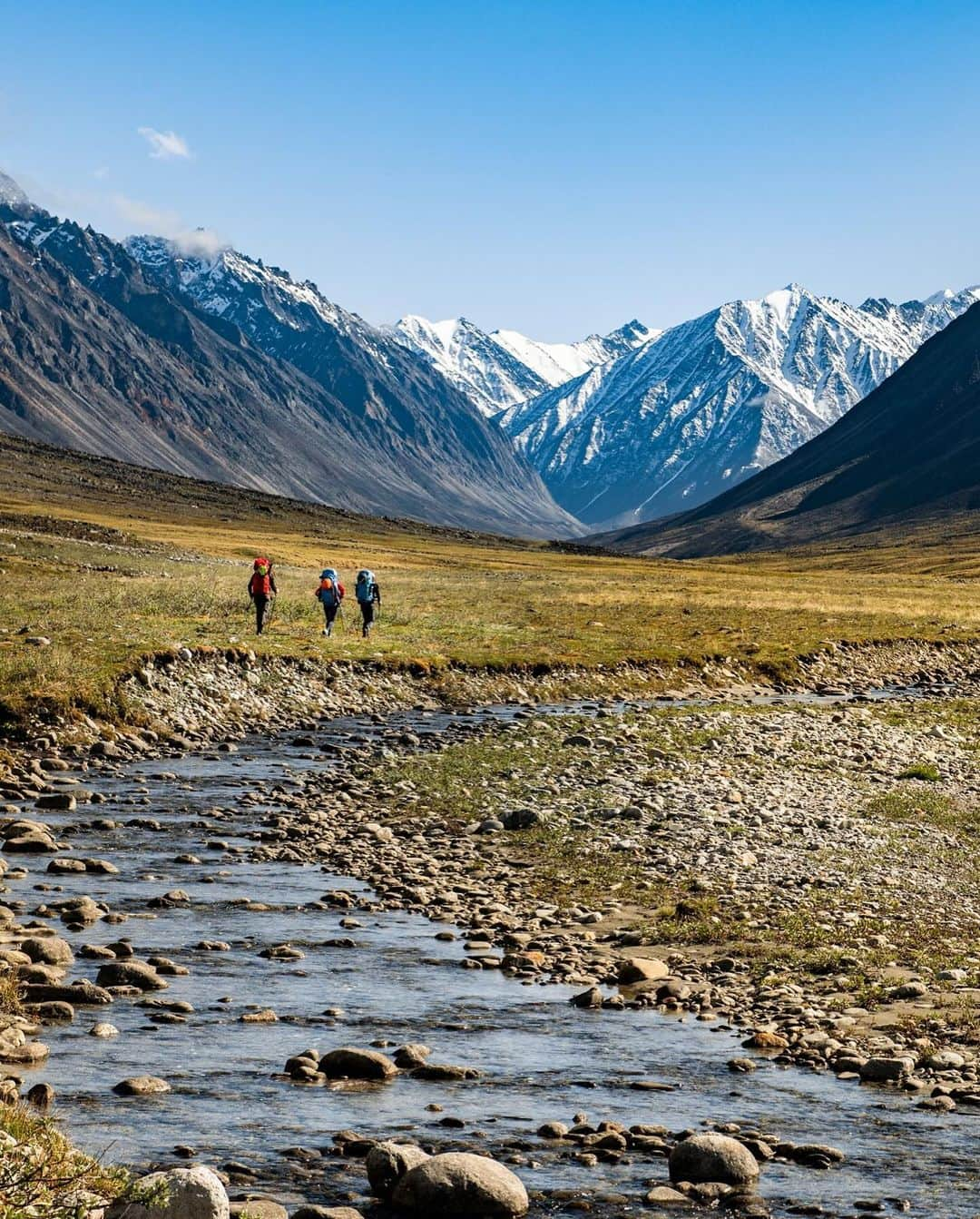 patagoniaさんのインスタグラム写真 - (patagoniaInstagram)「One more critical area in Alaska needs your support today.  In the Brooks Range, a growing coalition of conservation and Indigenous groups are pushing back against a state proposal to develop a 211-mile private industry road.  If developed, the Ambler Road project would cut through the largest connected park system in the country, cross 11 major rivers and threaten key hunting grounds and water sources that local Indigenous communities depend on.   The Ambler Road was fast-tracked by former President Trump in 2020, but the Biden administration found major issues with the proposal. Now the administration wants to hear from you.   Submit a comment by December 22, through link in bio, to tell President Biden the Ambler Road has no place in the Brooks Range.  Photos: Austin Siadak, Florian Schulz, David W. Shaw」11月21日 9時54分 - patagonia