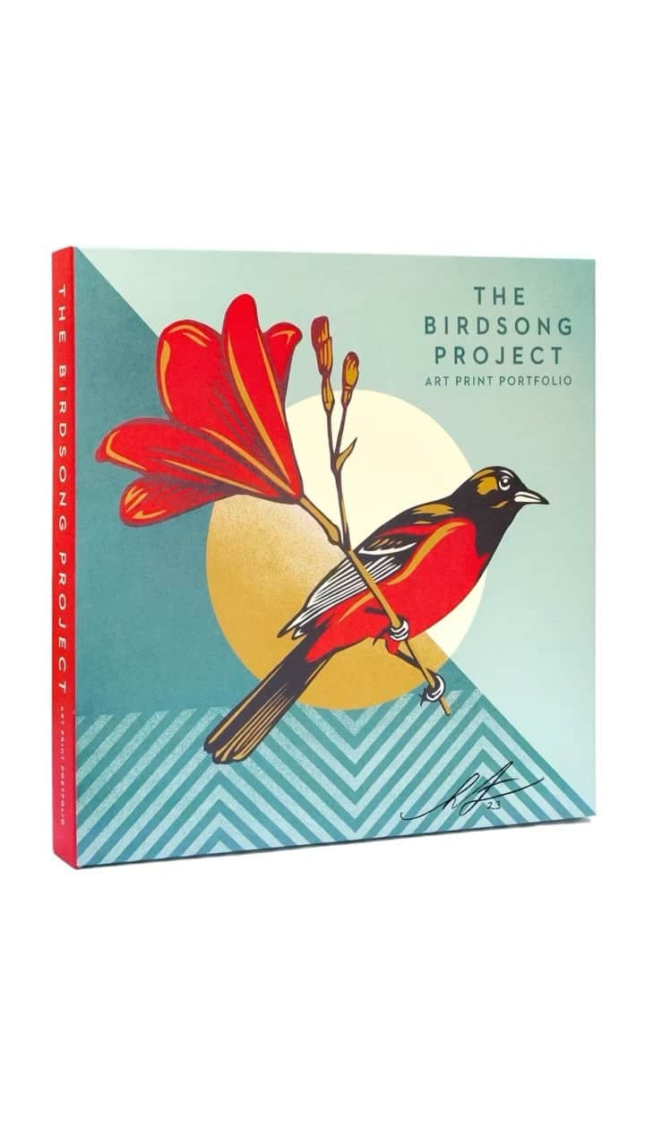 Shepard Faireyのインスタグラム：「Available Now! The @birdsongproject’s Randall Poster and I have teamed up to gather a group of artists to collaborate on a limited edition box set portfolio to celebrate the joy of birds, while drawing our attention to the environmental threats we all face. The box set will feature prints from artists Brian Calvin, Danny Romeril, Deedee Cheriel, Duke Riley, Eggpicnic, Ernesto Yerena, Faith47, Isobel Harvey, Jim Houser, Joonbug, Kevin Earl Taylor, Keya Tama, Lovehawk, Mark Mothersbaugh, Monica Canilao, Ravi Zupa, Sophie Wake, Tim Biskup, TOMO77, as well as myself. –Shepard Fairey  A portion of the proceeds from the sales of the box set will benefit the National Audubon Society (@audubonsociety) as the Birdsong Project is a community dedicated to protecting bird life and celebrating the joy and mysteries of birdsong. The box set will be available in-store at Subliminal Projects Saturday, Nov 18th, 7-10PM and online Monday, Nov 20th, 6AM PST / 9AM EST on store.obeygiant.com!  Music: The Flaming Lips - “Lucifer Hummingbird” Album: For the Birds: The Birdsong Project, Vol. II  Artists: Brian Calvin (@nowhereboogie) Danny Romeril (@d_romeril) Deedee Cheriel (@deedeecheriel) Duke Riley (@dukerileystudio) Eggpicnic (@eggpicnic) Ernesto Yerena (@ernestoyerena) Faith47 (@faith47) Isobel Harvey (@isobelharveyart) Jim Houser (@misterhouser) Joonbug (@thebugs87) Kevin Earl Taylor (@kevinearltaylor) Keya Tama (@keyatama) Lovehawk (@lovehawkstudio) Mark Mothersbaugh (@markmothersbaugh) Monica Canilao (@__moreferalthan__) Ravi Zupa (@raviamarzupa) Shepard Fairey (@obeygiant) Sophie Wake (@sophiewake_artist) Tim Biskup (@tbiskup) and TOMO77 (@tomo7701)」