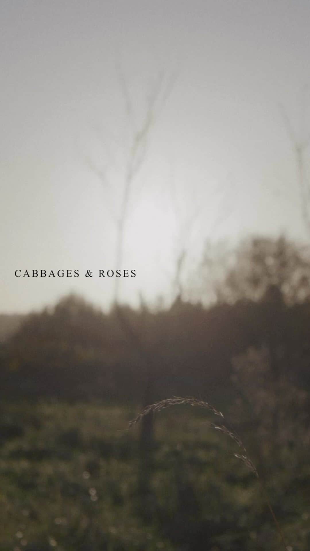 キャベジズ&ローゼズのインスタグラム：「Of The Earth #AW23 ⁣⁣ Cabbages and Roses x Haley Bennett  ⁣⁣ Beautiful reading from the beautiful @halolorraine  Words - Song of the open road by Walt Whitman ⁣⁣ ⁣⁣ Model @halolorraine  Videography @emrecakirstudio ⁣⁣ Photographer and stylist @cathykasterine⁣⁣ Creative Director @violet_dent ⁣⁣ Managing Director @katehowellshk ⁣⁣ Marketing @just_belle ⁣⁣ Shoot production @maudierosebuchanan ⁣⁣ ⁣⁣ Location @kittengraysonflowers」