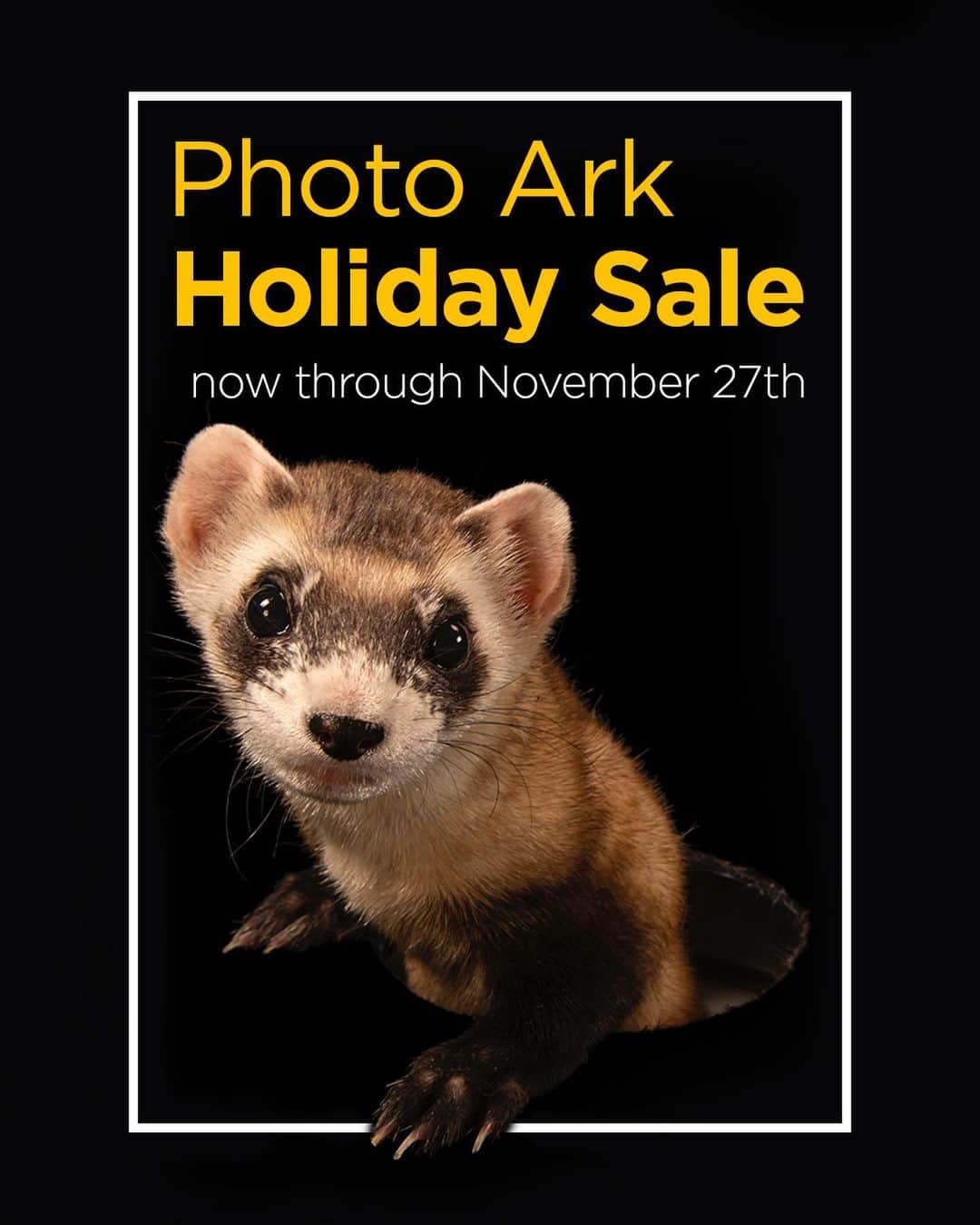 Joel Sartoreさんのインスタグラム写真 - (Joel SartoreInstagram)「Looking for a way to support the Photo Ark? Look no further! Swipe for details then click on the first link in my bio!」11月21日 2時20分 - joelsartore