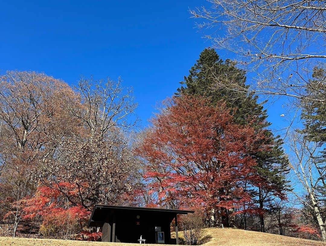 胃腸良子さんのインスタグラム写真 - (胃腸良子Instagram)「#旧軽井沢ゴルフクラブ  今年もギリギリ紅葉に間に合いました🍁  軽井沢はもう雪が降っていたよ！ なかなか雪が溶けなくてゆっくりのスタートでしたが、 なんとか12ホールまわれました。 旧軽は日本で2番目に歴史があるゴルフクラブだそうで、 インアウト12ホールしかないの。 でもなんかこのゆったり感がいい感じです。  来年は新緑の頃に来れるといいなぁ。  #golf #ゴルフ #ゴルフコース #エンジョイゴルフ #ゴルフウェア  #紅葉 #日本 #観光 #karuizawa  #autumnleaves  #ootd #oute @loudmouth_japan_official  #loudmouth  #pants  @taylormade_golf_japan  #taylormade」11月21日 7時05分 - kimiyo.f