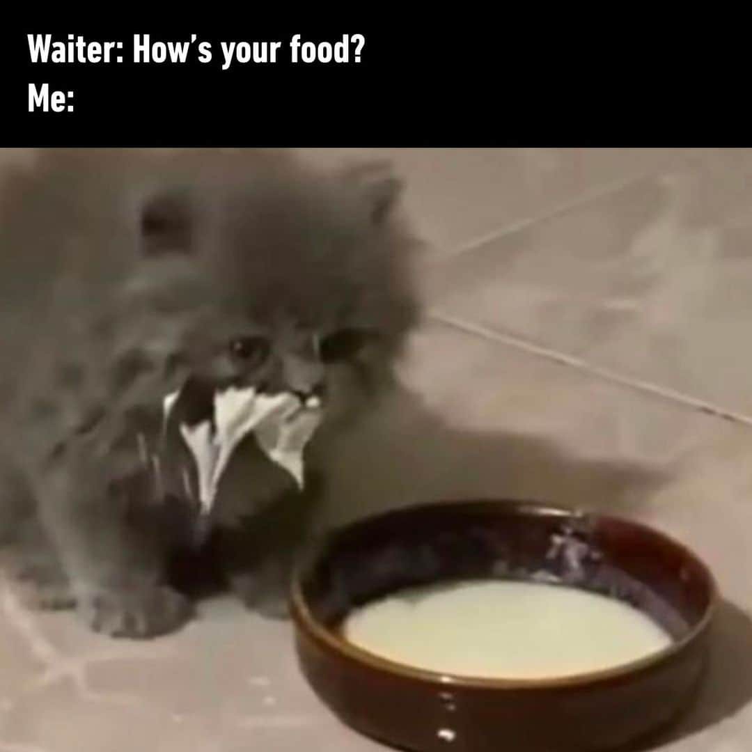 9GAGさんのインスタグラム写真 - (9GAGInstagram)「*speaks in hmmmmm* - #restaurant #waiter #food #memes #9gag」11月21日 7時01分 - 9gag