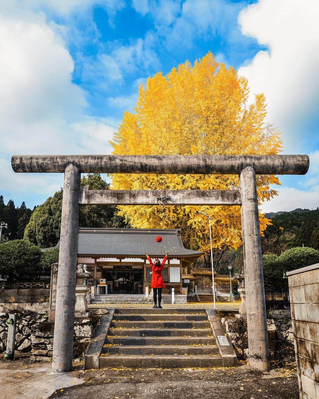コサのインスタグラム：「初めて長谷丹生神社の大銀杏を見に行ってきました 空が真っ白だったので帰ろうとしたら、よしみさんと遭遇♪ しばらくすると青空キター😍 夜のライトアップも撮ったのでまたポストしますね👍 . Location:和歌山 Wakayama /Japan🇯🇵 Date:2023年11月 in frame: @k.yoshimi0518  Camera:Z9 / Z 14-24mm f2.8 . #銀杏 #長谷丹生神社 #みんすと紅葉祭 #Japan_Daytime_View #japancityblues #jp_portrait_collection #ポトレファン倶楽部 #ポトレ撮影隊 #jp_mood #jp_portrait部 #clv_galerie #nagomi_wakayama #visitwakayama #じゃびふる #raw_japan #m_v_shotz #japan_bestpic_ #japan_waphoto #bestjapanpics #deaf_b_j_ #japan_best_pic #tokyocameraclub #art_of_japan_ #jgrv_member #team_jp_ #photo_jpn #sorakataphoto #LBJ_KING #広がり同盟メンバー #special_spot_legend」